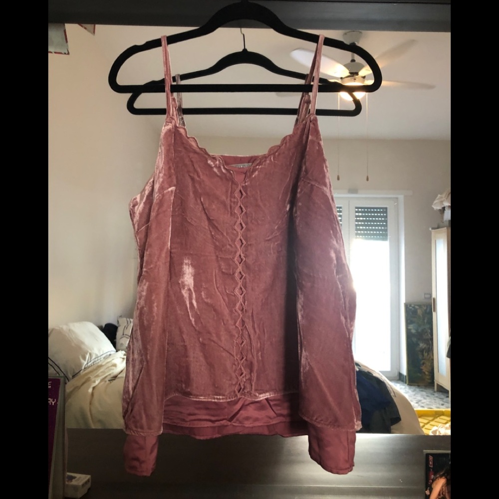 Daniel Rainn Blush Velvet tank